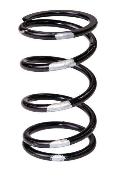 SLP POLARIS DRIVE CLUTCH SPRING