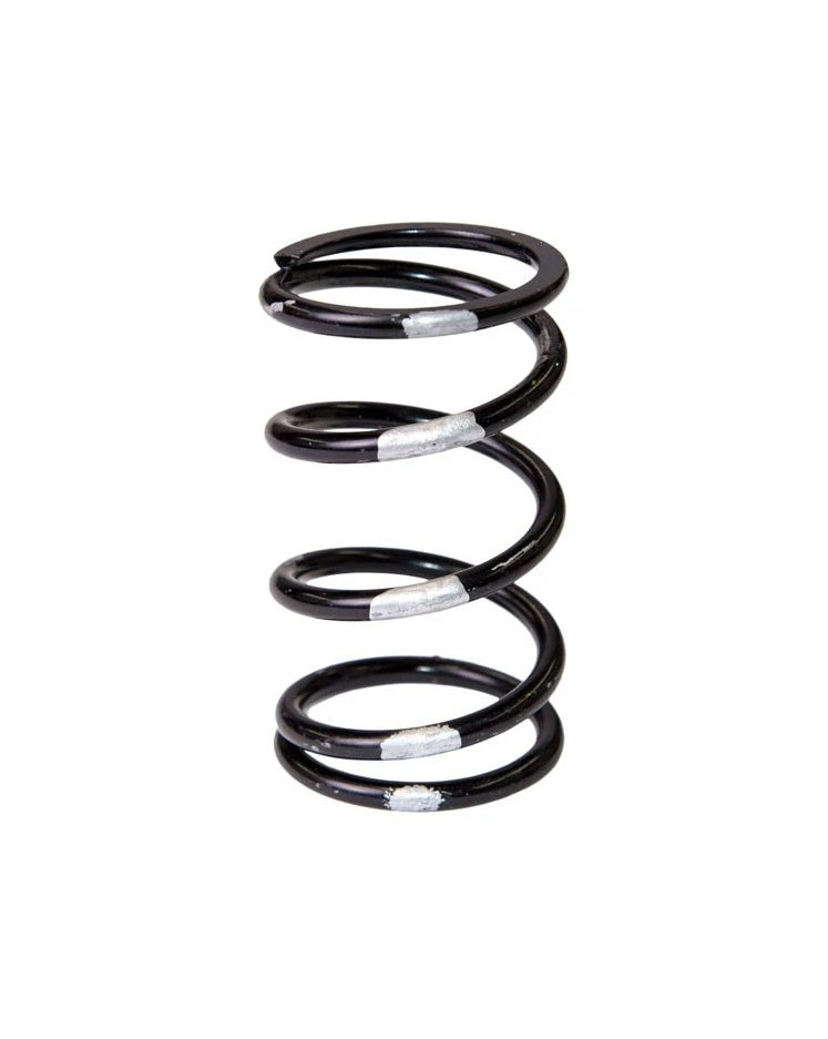 SLP POLARIS DRIVE CLUTCH SPRING