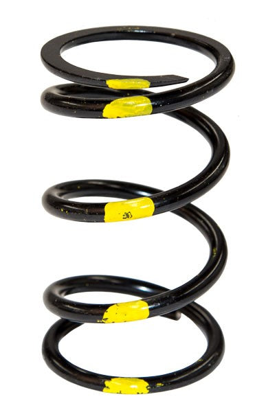 SLP POLARIS DRIVE CLUTCH SPRING