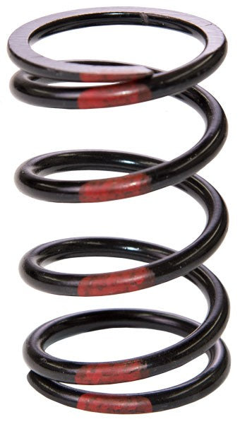 SLP POLARIS DRIVE CLUTCH SPRING