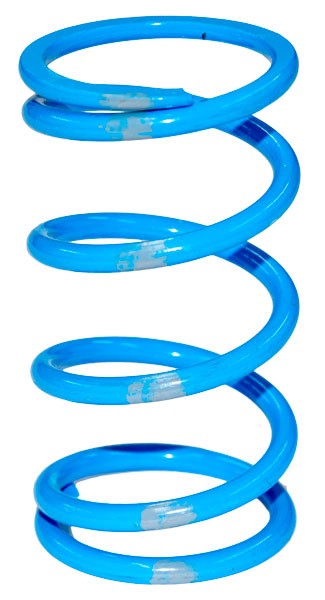 SLP POLARIS DRIVE CLUTCH SPRING