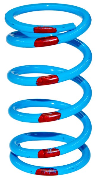 SLP POLARIS DRIVE CLUTCH SPRING