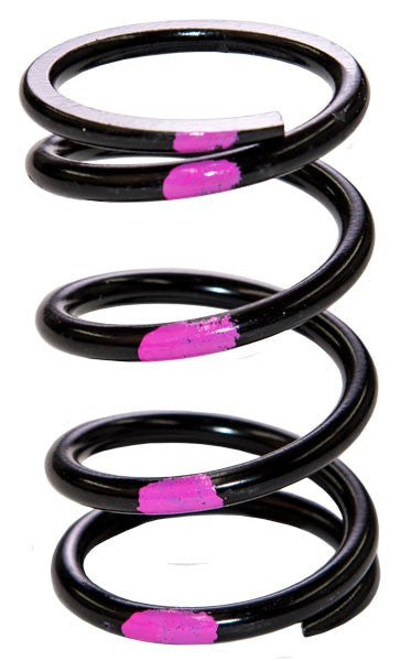SLP POLARIS DRIVE CLUTCH SPRING