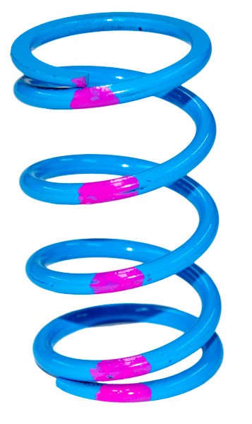 SLP POLARIS DRIVE CLUTCH SPRING