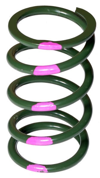 SLP POLARIS DRIVE CLUTCH SPRING