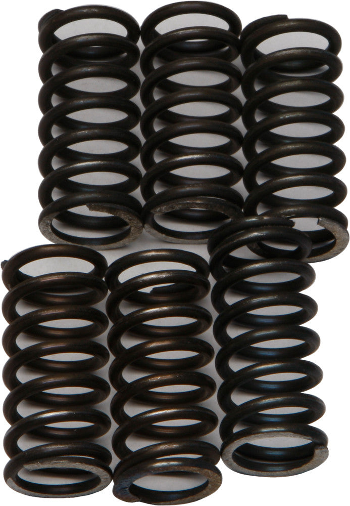 CLUTCH SPRINGS CSK200