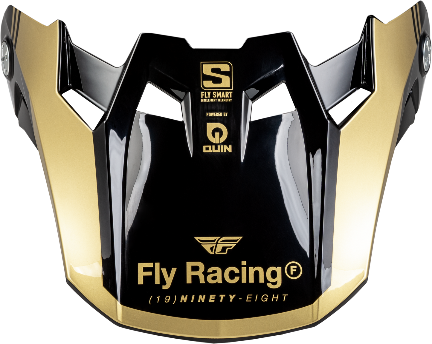 FORMULA S CARBON LEGACY VISOR BLACK/GOLD YL/SM