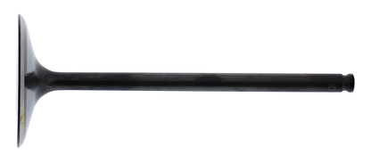 INTAKE VALVE STEEL POL