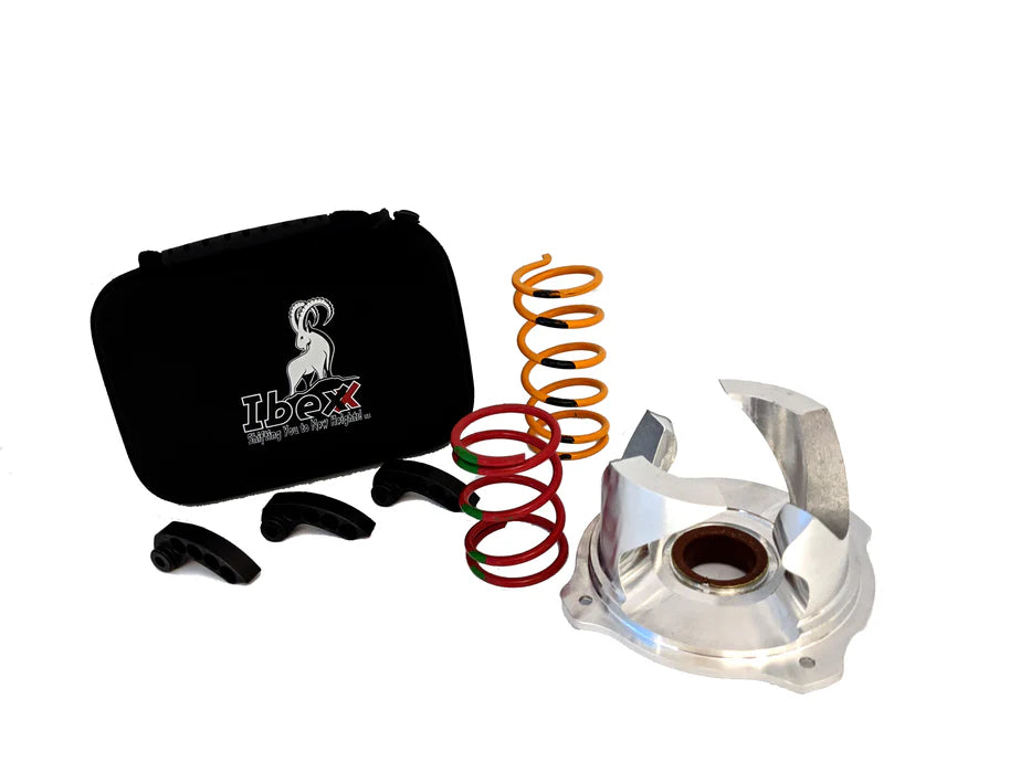 RZR 900 Clutch Kit