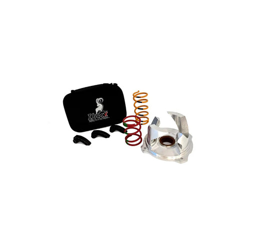 RZR 900 CLUTCH KIT