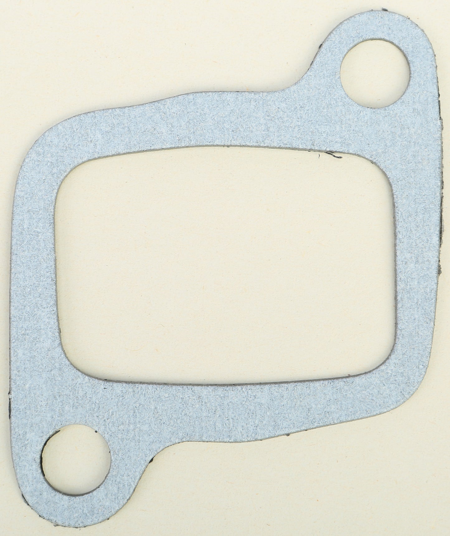 INTAKE GASKET